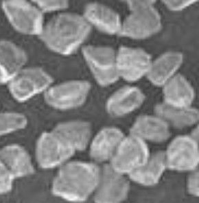 Single Crystal Boron Doped Diamond BDD Lab Grown Semiconductor Diamond